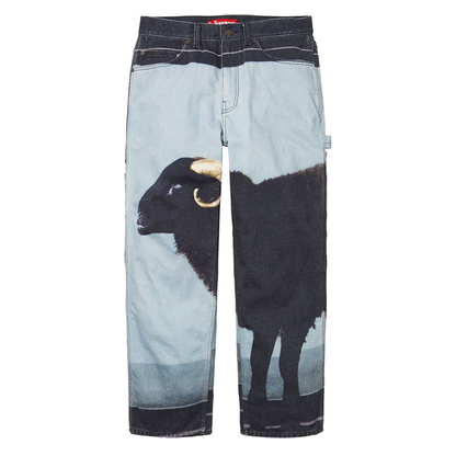 Supreme 25SS Damien Hirst Jeans
